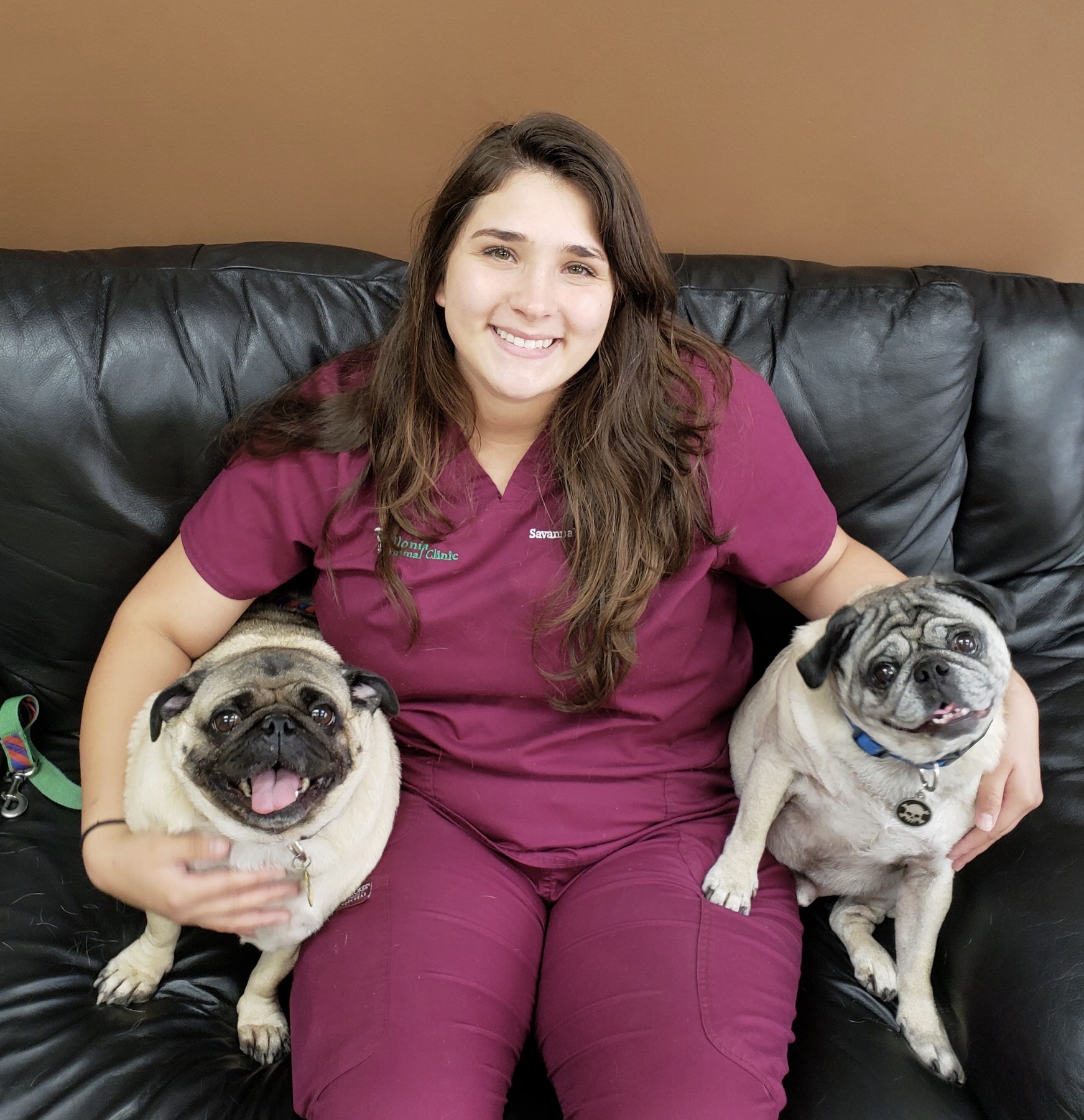 Savannah 2020 J. Paul Jenkins | Vilonia Animal Clinic
