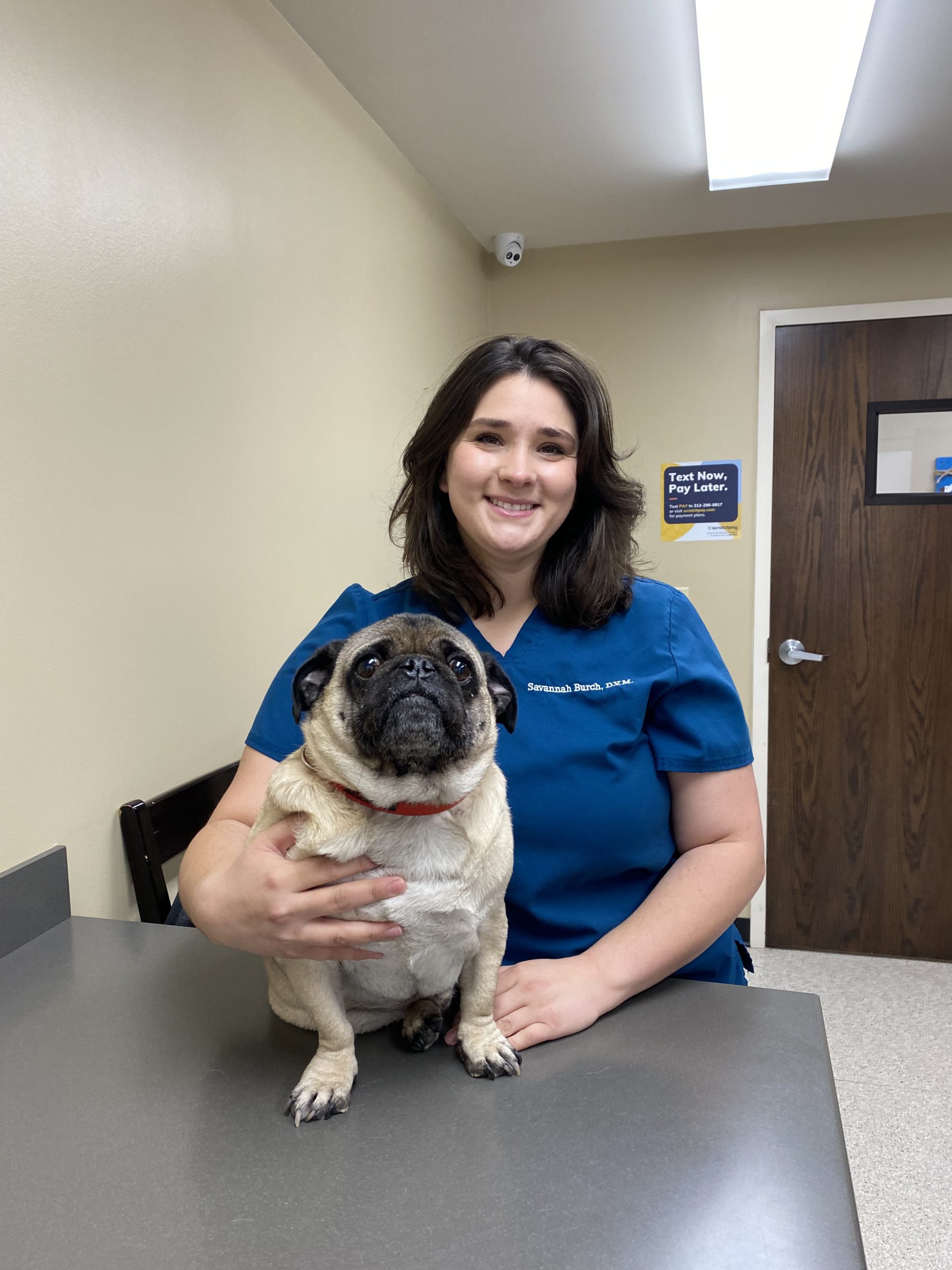Savannah Burch, DVM - Veterinarian in Conway, AR | Vilonia Animal Clinic
