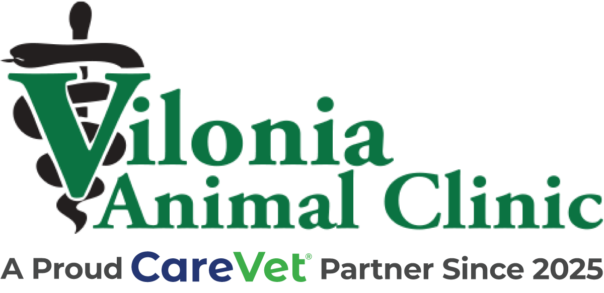 Vilonia Animal Clinic Logo
